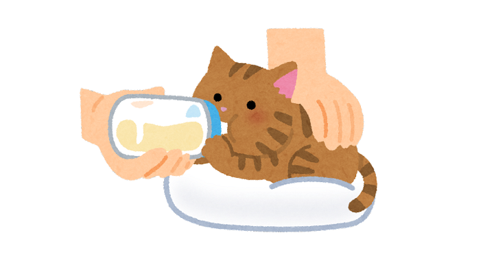 哺乳瓶でミルクを飲む子猫