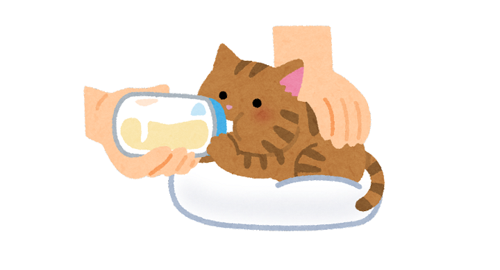 哺乳瓶でミルクを飲む子猫