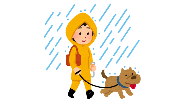 雨の日に犬の散歩をする人