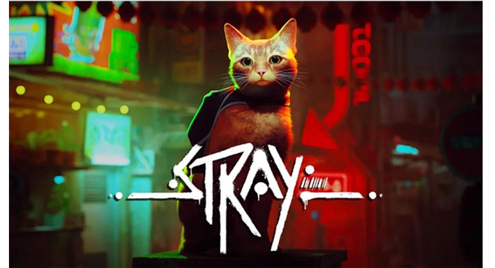 Stray