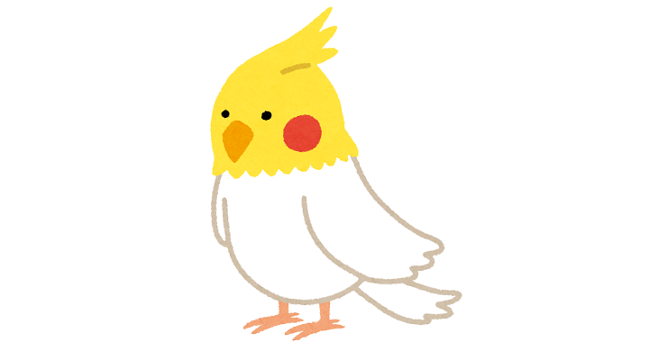 オカメインコ